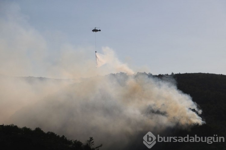 Hatay'da yangın mücadelesi