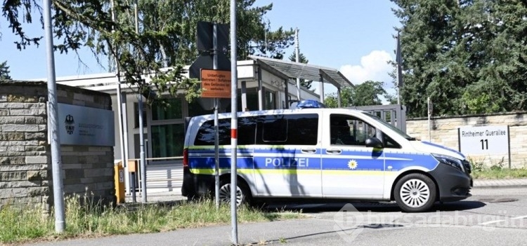Berlin sokaklarında aslan uyarısı!