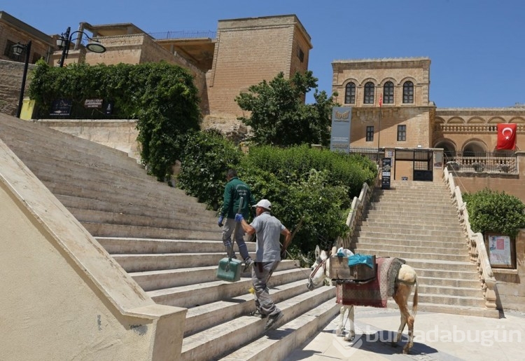 Mardin'de kadrolu eşeklere düzenleme getirildi