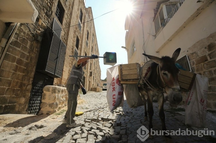Mardin'de kadrolu eşeklere düzenleme getirildi