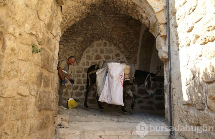 Mardin'de kadrolu eşeklere düzenleme getirildi