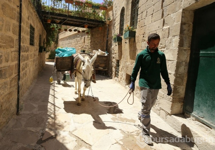 Mardin'de kadrolu eşeklere düzenleme getirildi