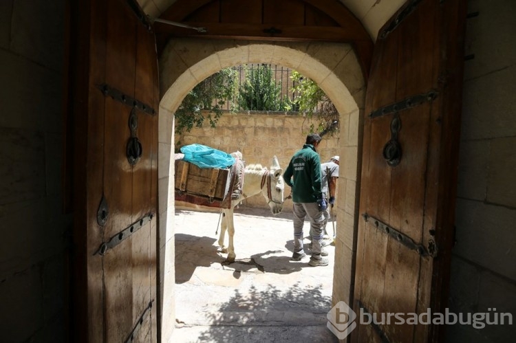Mardin'de kadrolu eşeklere düzenleme getirildi
