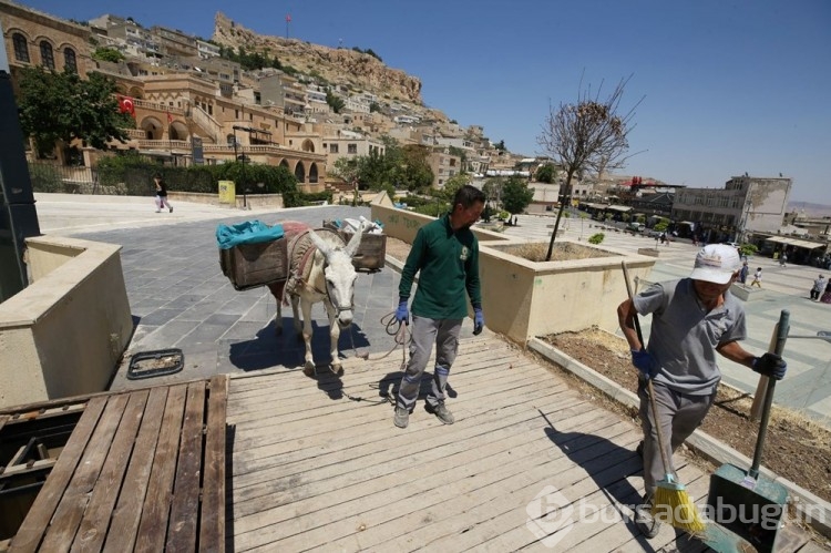 Mardin'de kadrolu eşeklere düzenleme getirildi