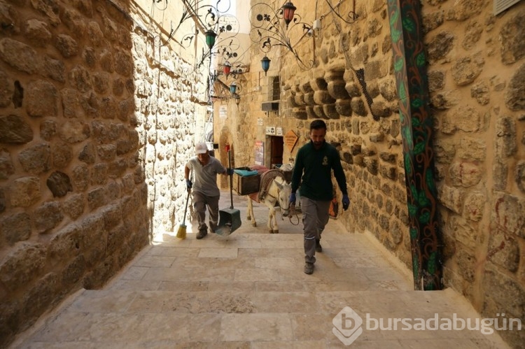 Mardin'de kadrolu eşeklere düzenleme getirildi