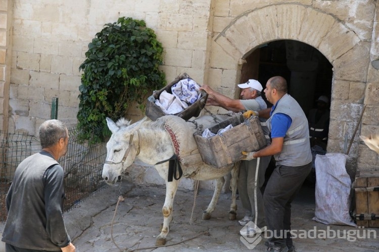 Mardin'de kadrolu eşeklere düzenleme getirildi