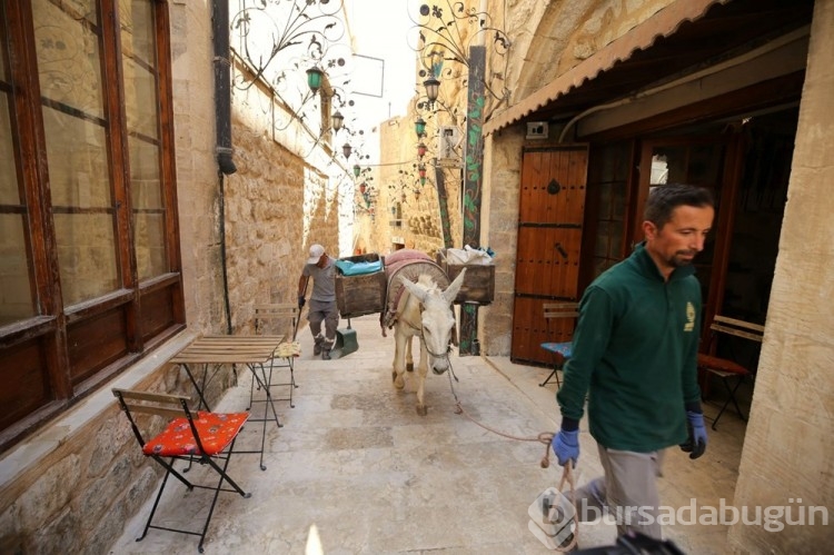 Mardin'de kadrolu eşeklere düzenleme getirildi