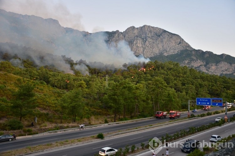 Tatil cenneti Kemer'de orman yangını
