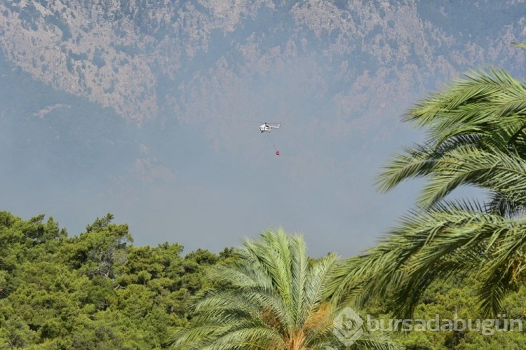 Tatil cenneti Kemer'de orman yangını
