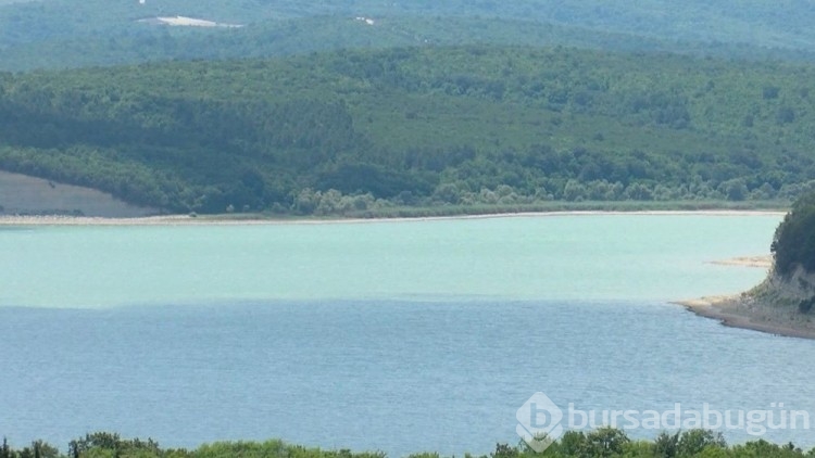 Arnavutköy'de mahalleli balık kokulu sudan isyan etti
