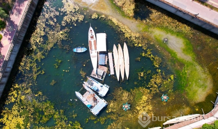 Seyhan Nehri yosunla kaplandı