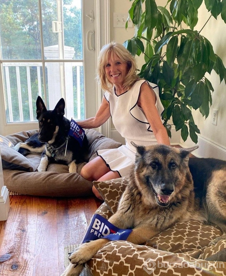 Beyaz Saray'da Biden'in köpekleri panik yarattı