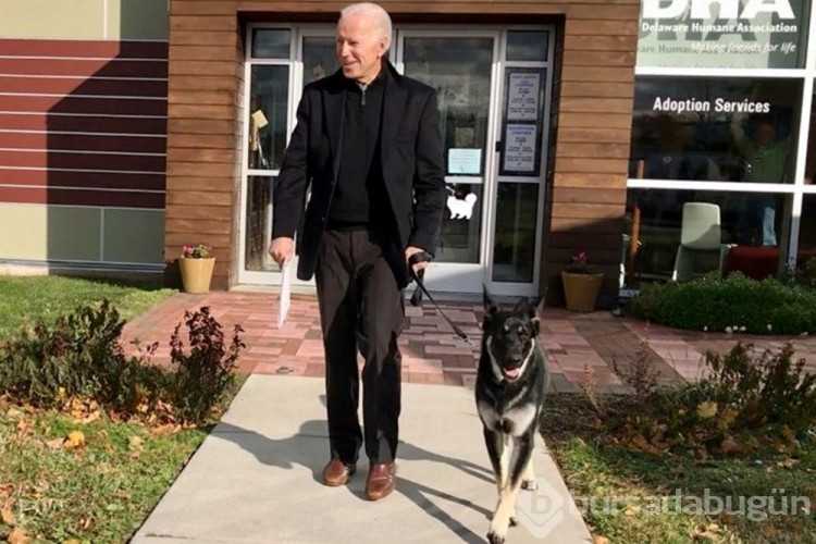 Beyaz Saray'da Biden'in köpekleri panik yarattı