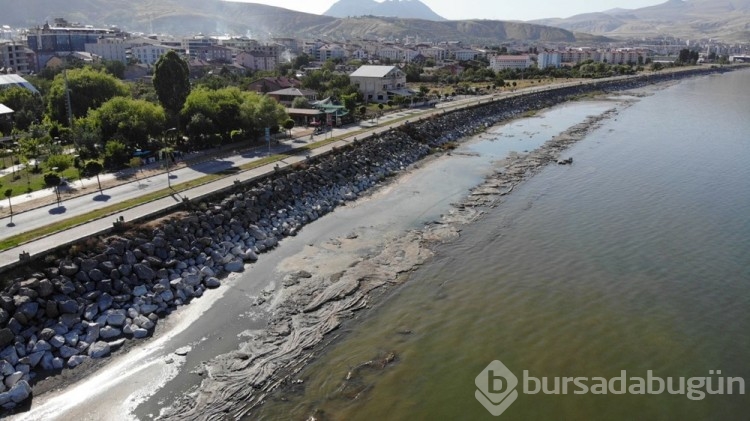 Van Gölü'ndeki çekilme ciddi boyutlara ulaştı