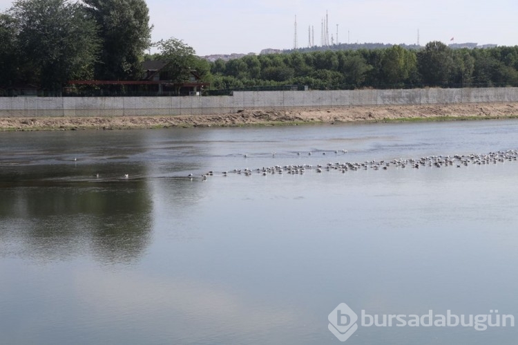 Edirne'deki Meriç ve Tunca nehirlerinin su seviyesi düştü