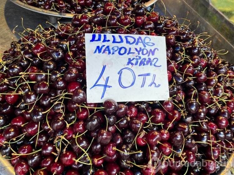 Bursa'nın pazarlarında fiyatlar ne durumda? İlçelerdeki farklılık nasıl?