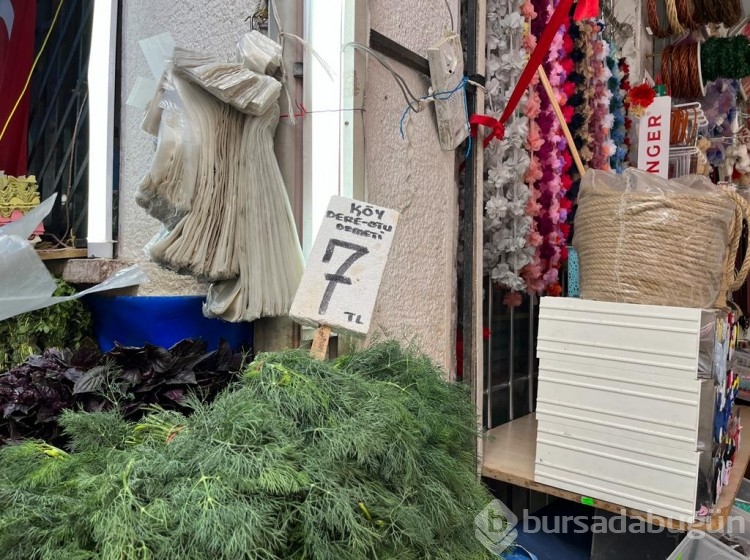 Bursa'nın pazarlarında fiyatlar ne durumda? İlçelerdeki farklılık nasıl?