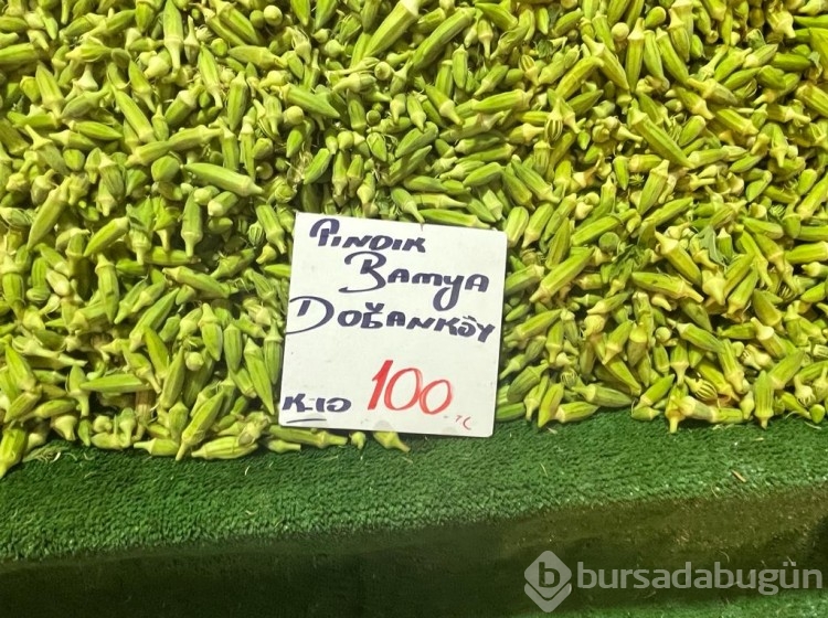 Bursa'nın pazarlarında fiyatlar ne durumda? İlçelerdeki farklılık nasıl?
