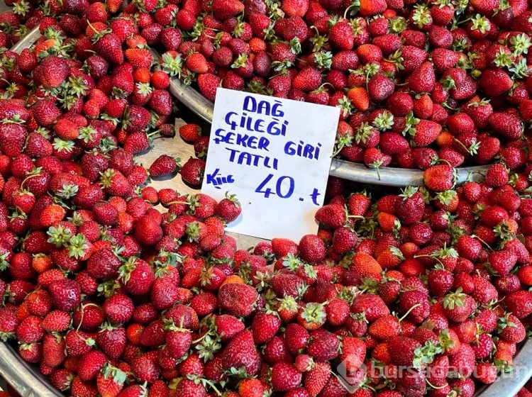 Bursa'nın pazarlarında fiyatlar ne durumda? İlçelerdeki farklılık nasıl?