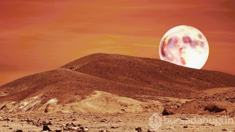 Mars'ta yeni yaşam kanıtları bulundu