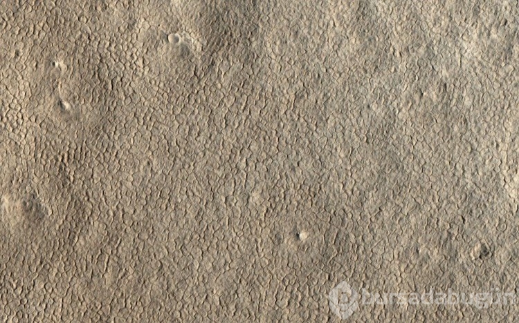 Mars'ta yeni yaşam kanıtları bulundu