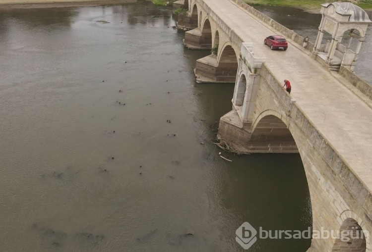 Meriç Nehri'nde su seviyesi düştü