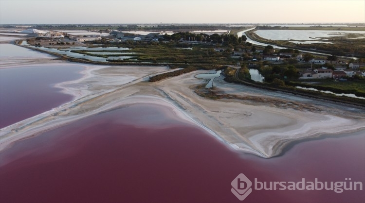 Fransa'da gölün rengi pembe oldu