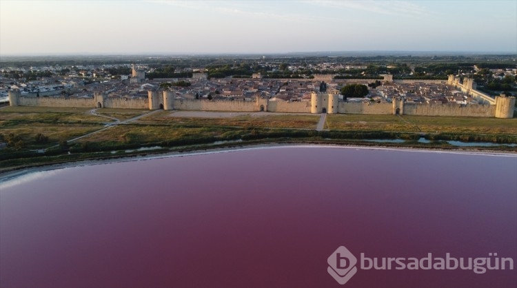 Fransa'da gölün rengi pembe oldu