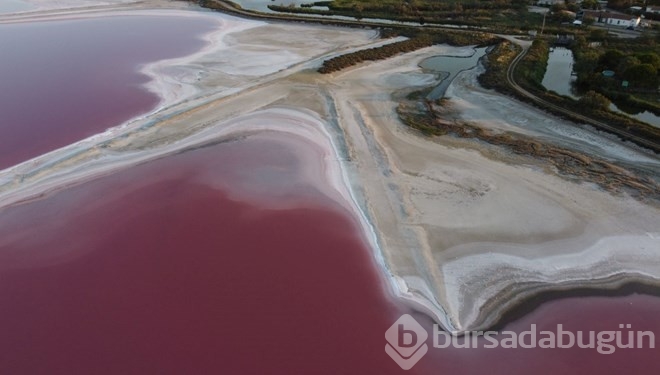 Fransa'da gölün rengi pembe oldu