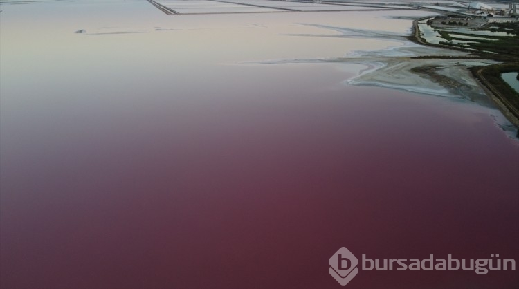 Fransa'da gölün rengi pembe oldu