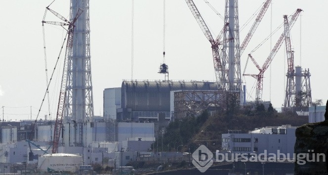Japonya radyoaktif suyu okyanusa akıtacak
