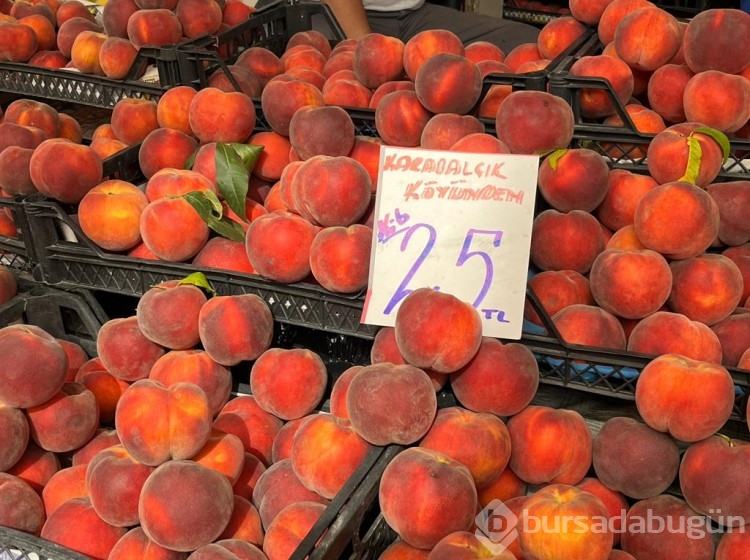 Bursa'da pazar fiyatları her hafta değişiyor! Sarımsağa 50 lira zam...