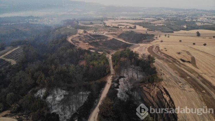 Çanakkale'de yanan alanlar havadan görüntülendi