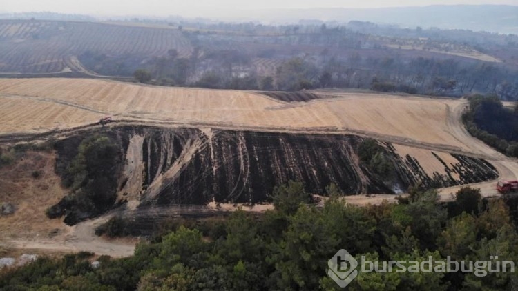 Çanakkale'de yanan alanlar havadan görüntülendi