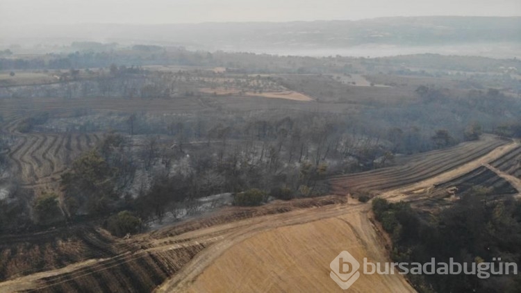 Çanakkale'de yanan alanlar havadan görüntülendi