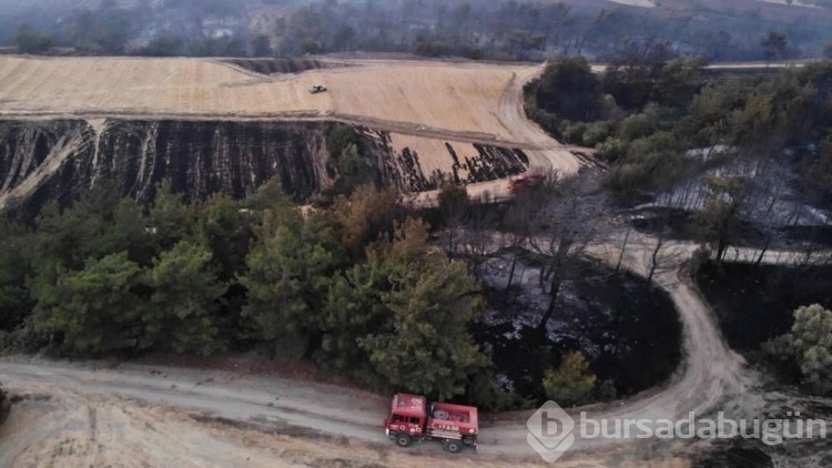 Çanakkale'de yanan alanlar havadan görüntülendi