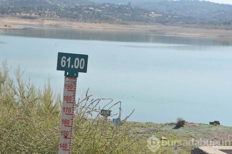 Bodrum'da salgın uyarısı