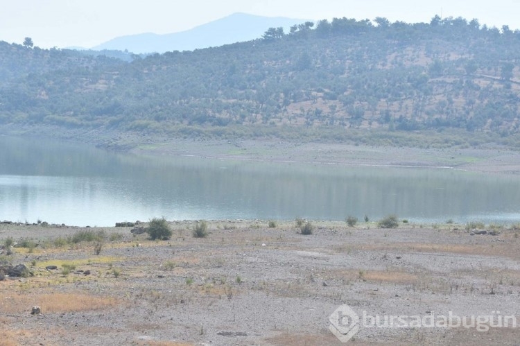 Bodrum'da salgın uyarısı