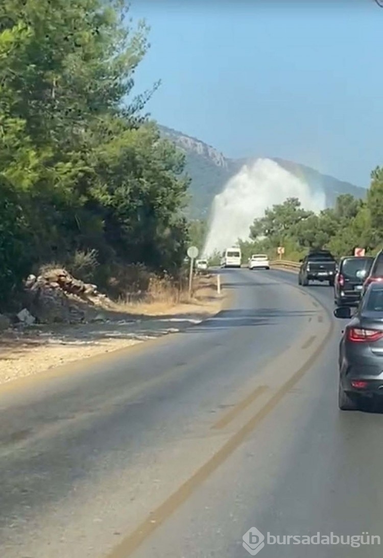 Bodrum'da salgın uyarısı