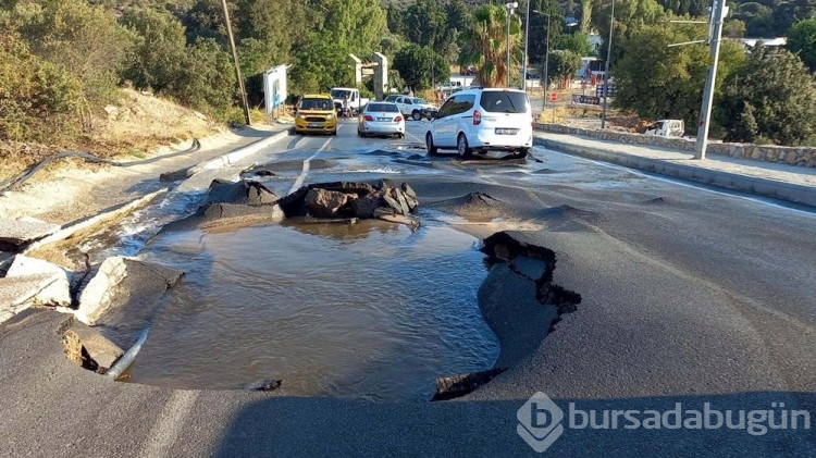 Bodrum'da salgın uyarısı