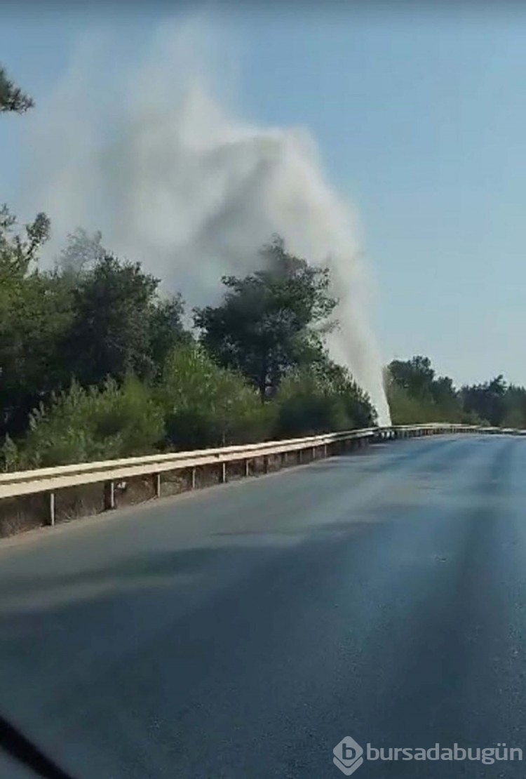 Bodrum'da salgın uyarısı
