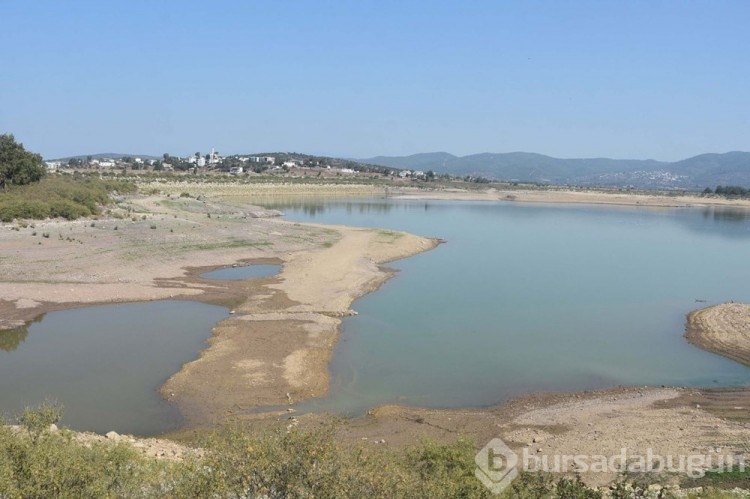 Bodrum'da salgın uyarısı