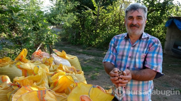 Bu işi yapanlar saatlik 2 bin TL kazanıyor