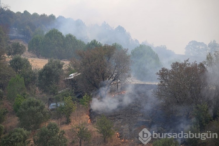 Çanakkale'deki orman yangını kontrol altına alındı