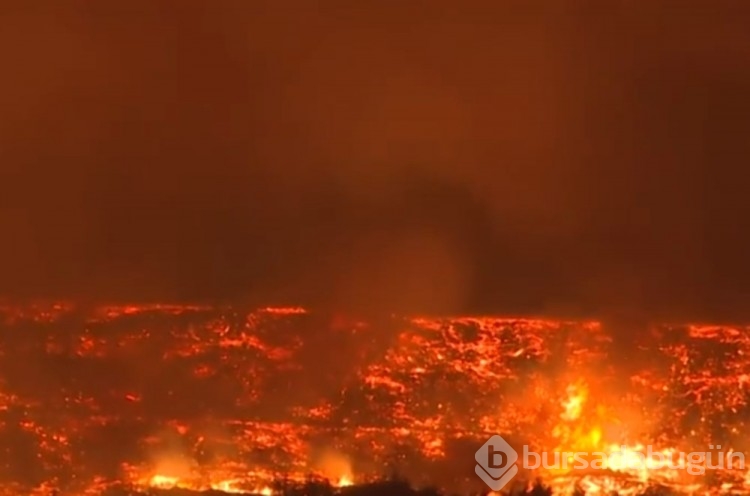 Çanakkale'deki orman yangını kontrol altına alındı