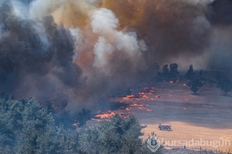 Çanakkale'deki orman yangını kontrol altına alındı