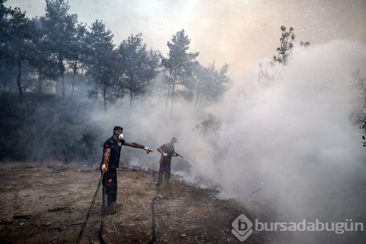 Çanakkale'deki orman yangını kontrol altına alındı