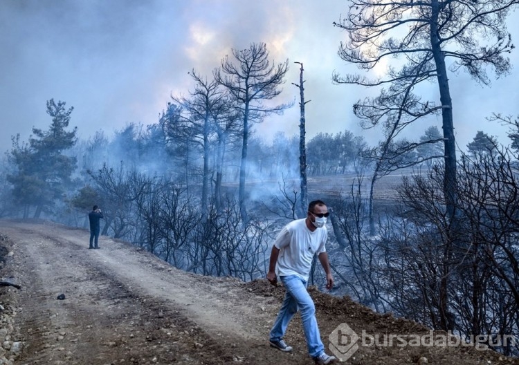 Çanakkale'deki orman yangını kontrol altına alındı