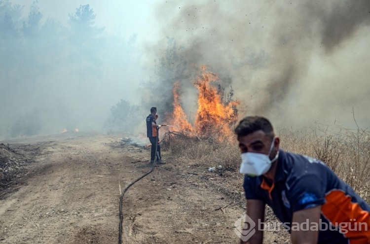 Çanakkale'deki orman yangını kontrol altına alındı