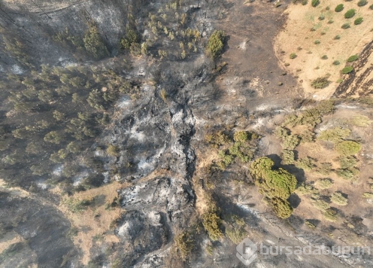 Çanakkale'deki orman yangını kontrol altına alındı